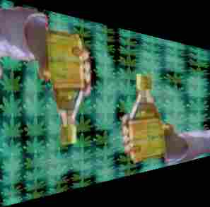 Agave Sativo na Cabeça Atávica