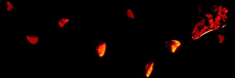 Walk through the journey....