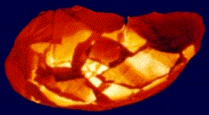 CLICK&nbsp;&nbsp; Here
To Start Your Journey.....