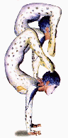 cirque2.gif (9729 bytes)