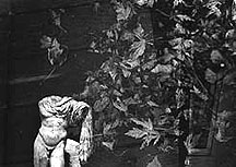Greek Myth