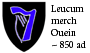 Leucum merch Ouein.