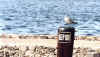 GULLPOST.JPG (55939 bytes)
