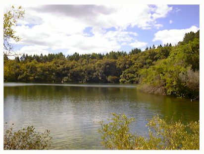 lake1.jpg (31100 oCg)