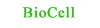 Combate aos Radicais Livres