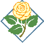 Boxrose