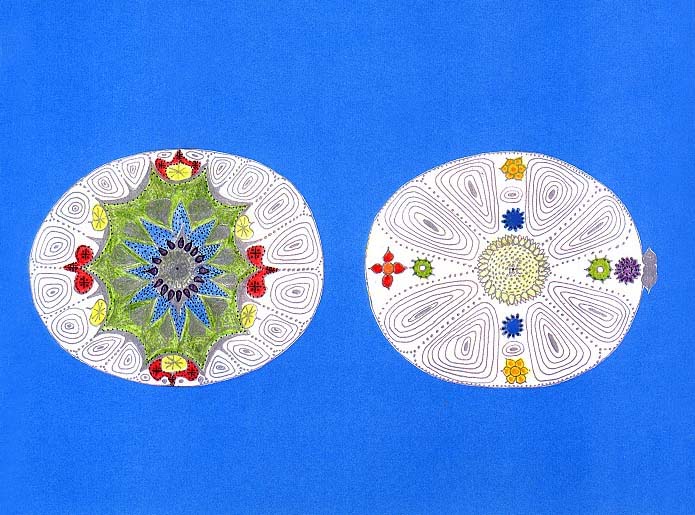 Chakras on the Head - By Michel Touzard