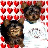 Corky and Chris