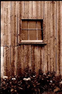 Corn farm barn