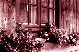 Window Box