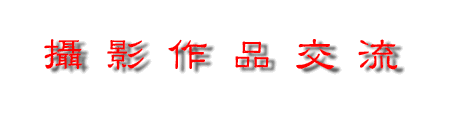 gallery6.GIF (5068 bytes)