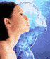d.gif