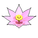 16.GIF (8721 bytes)