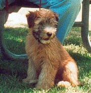 Marcus at 13 weeks, 07/22/2001