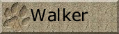 Walker