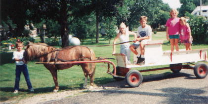 Wagon