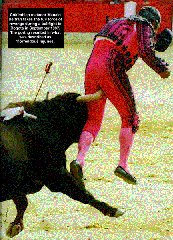 [ Matador getting gored ]