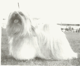 hacjensack.bmp (83870 bytes)