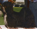 shiwala3.jpg (16557 bytes)