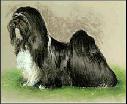 tux.jpg (3970 bytes)