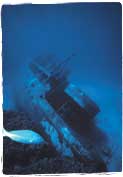 Wreck Diver