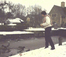 Ducks at Iffley Lock