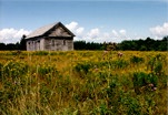 Goldenrod Church