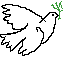 whitedove