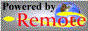 Remote Interactive Services