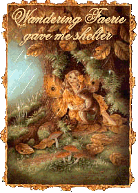 Shelter Gift