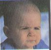 Lil