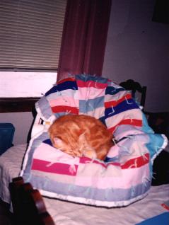 bbychair