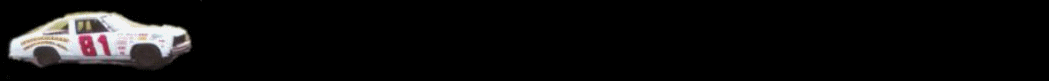 carrun.gif (80704 bytes)