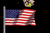 usaflag3.gif (9184 bytes)