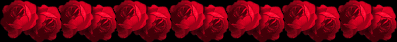 bar.gif (9062 bytes)