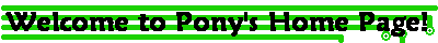 Welcome to Pony's Home Page