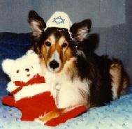 JAPuppy, the Best of Breed!