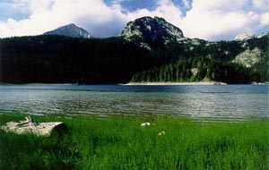 crnojezero.JPG (18634 bytes)