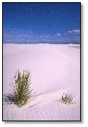 White Sands