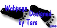 Web Design by Tara