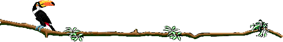 toucan.gif (3479 octets)