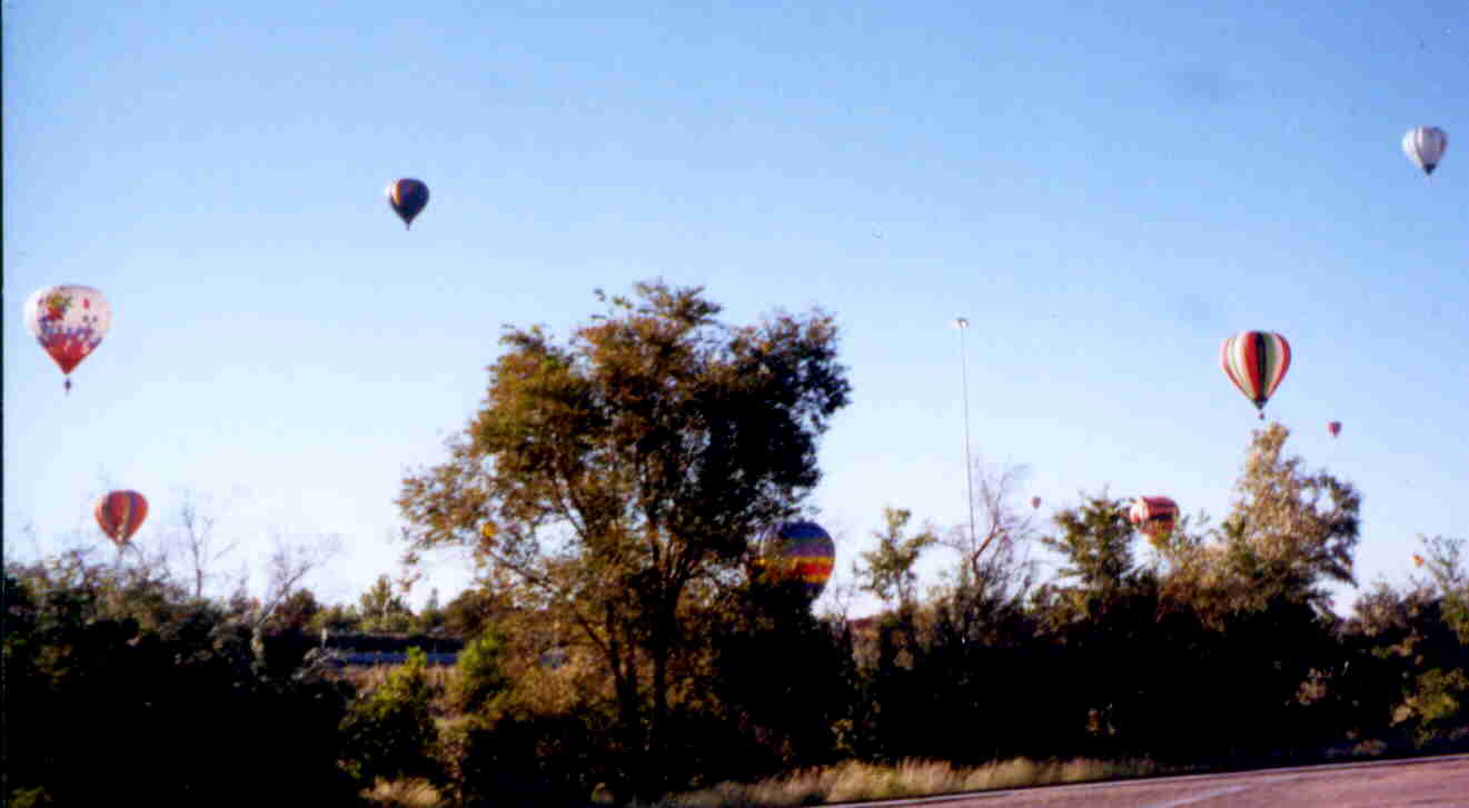 Balloons in Albuquerque