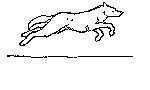 running wolf
