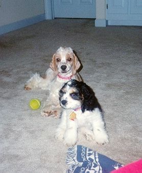 A 400ASA Film would have caught our halos