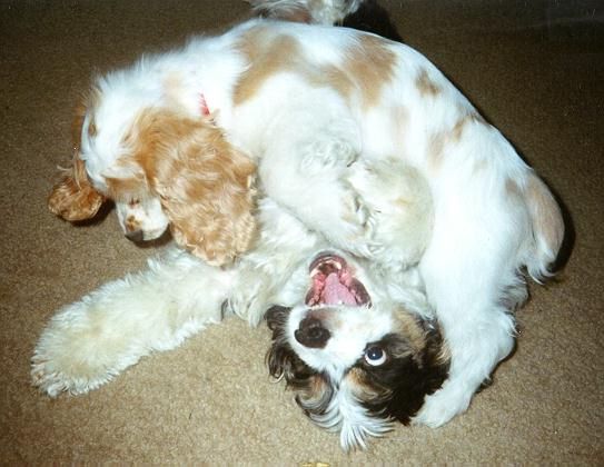 Okay! Okay! UNCLE, now you're happy?