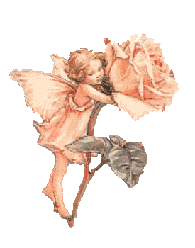 Flower Fairy - Click On Me!!