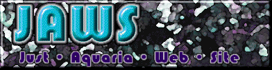 Jaws-Just Aquaria Website