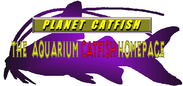 Planet Catfish
