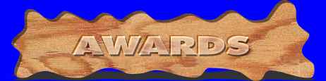 Web Page Awards