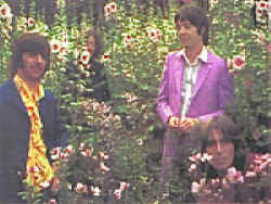 Publicity shot in the forest